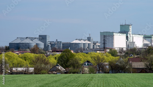 Green field with young sprouts before the panorama of village and the agro-industrial complex.