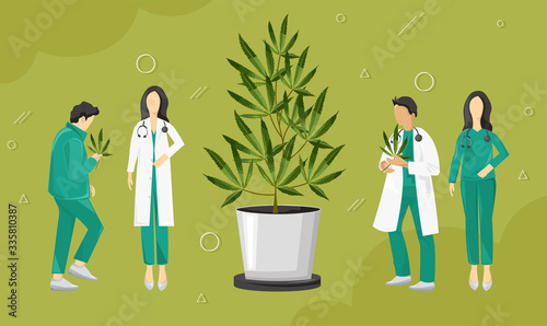 Doctors investigating cannabis leaves growing in a pot