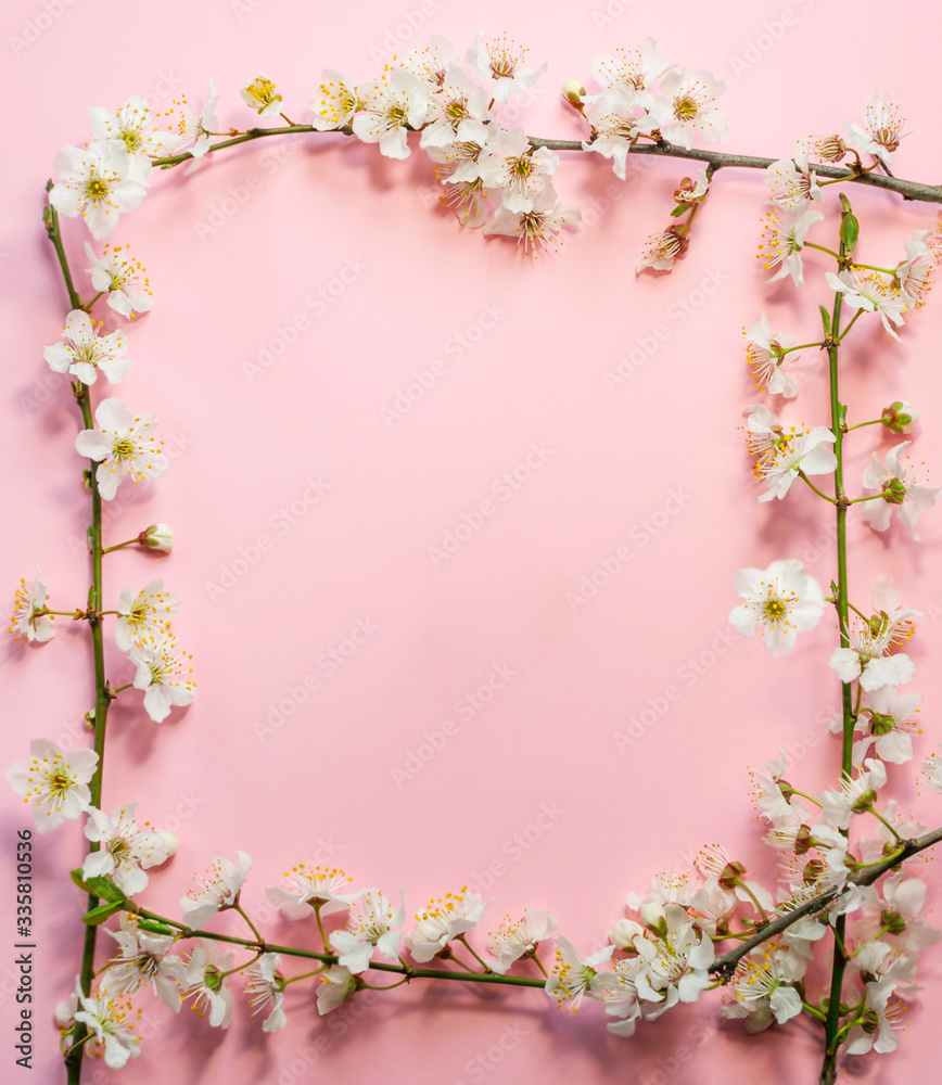 Frame of flowering tree branches on a pink background with copy space. Greeting spring card with place for text. Easter