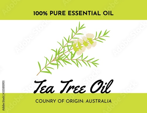 Tee tree oil label of plant from Australia. Malaleuca twig with flowers and leaves. Great for package. Vector