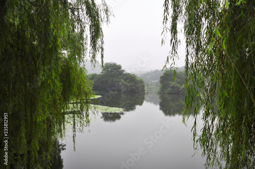 The view across the west lake in Hangzhou through willow trees. The opposite bank blurs in the fog. The raindrops fall into the lake and blur the reflection.