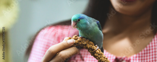 Photography Forpus parrot bird on woman hand