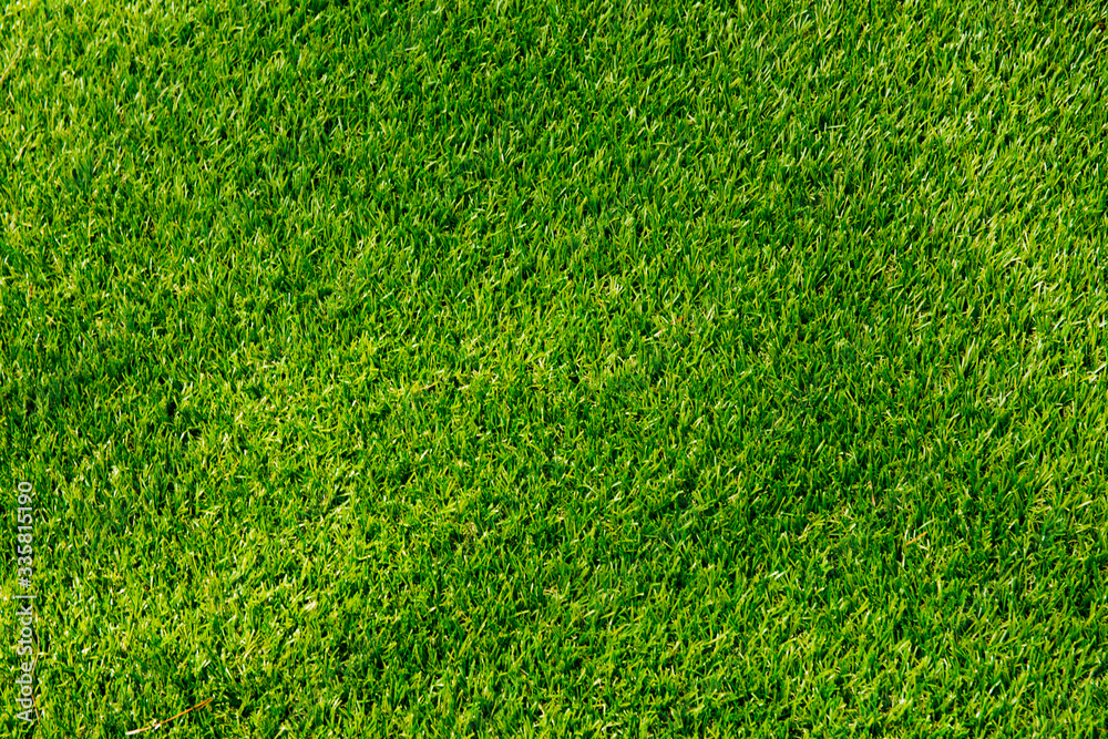 Naklejka Tło zielonej trawy.