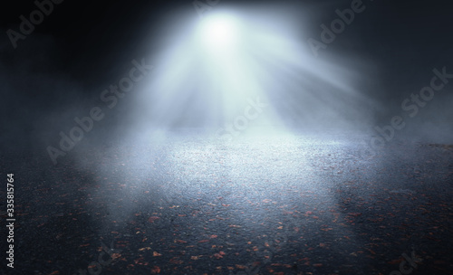 Dark abstract scene background. Moonlight reflection on the pavement. Smoke, smog and fog © Laura Сrazy