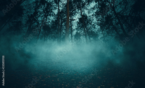 Dark abstract scene background. Moonlight reflection on the pavement. Smoke  smog and fog