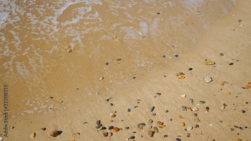 波打ち際の小石と貝