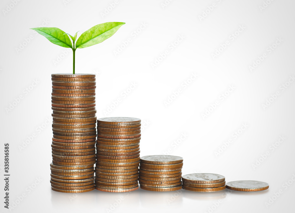 green seed growth on coins stack with white background. money saving. business investment successful growing concept. green seed growth on coins stack with white background. money saving. business investment successful growing concept.