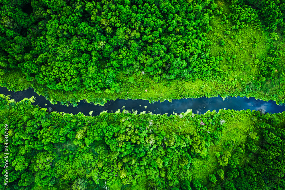 Fototapeta Stunning blooming algae on the river in summer, flying above