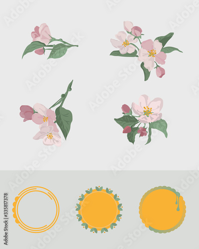 Apple flower branches in different arrangement. Set of blush pink flowers for greeting card design. Round frame emblems. 