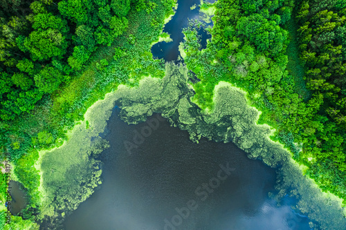 Flying above blooming algae on the lake in summer photo