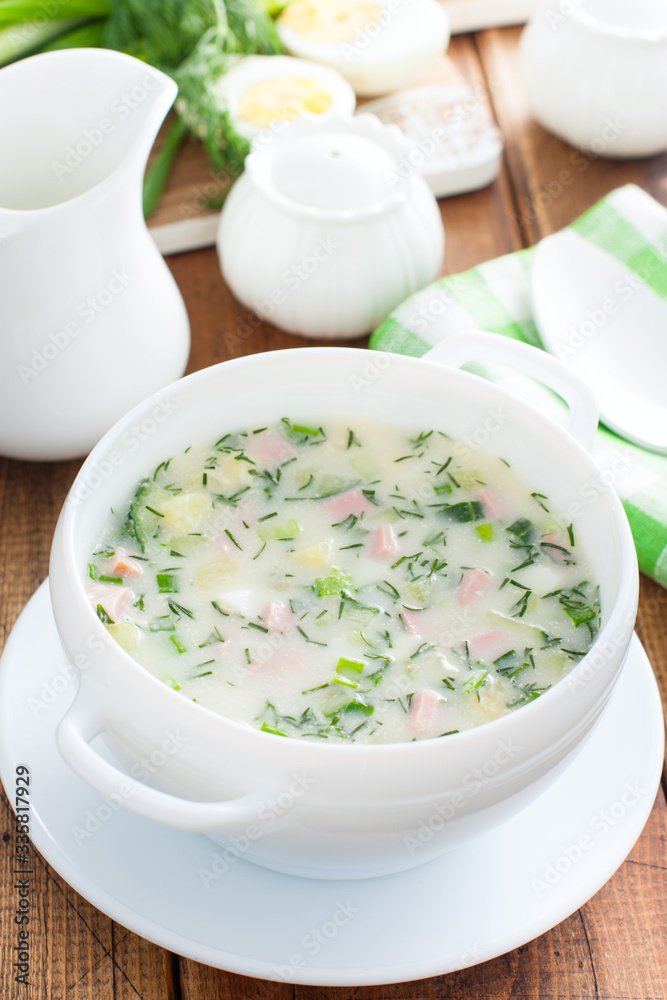 Traditional summer okroshka soup with sausage in a white bowl, selective focus Traditional summer okroshka soup with sausage in a white bowl, selective focus