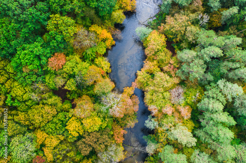 Top view of forest and river in autumn, aerial view