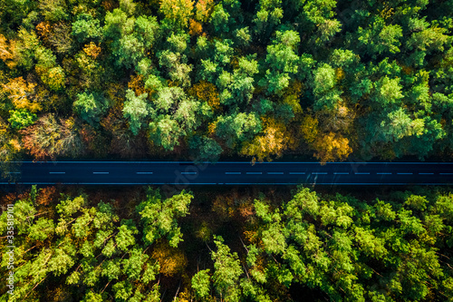 Top view of multicolored forest and black road in autumn