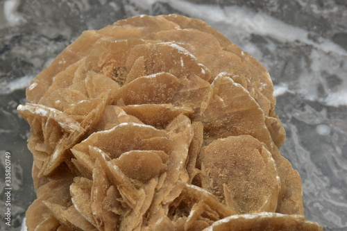 Rosa del Deserto, formazione sedimentaria, aggregato di cristalli di gesso che si forma in ben determinate condizioni ambientali e climatiche nord Sahara, Africa