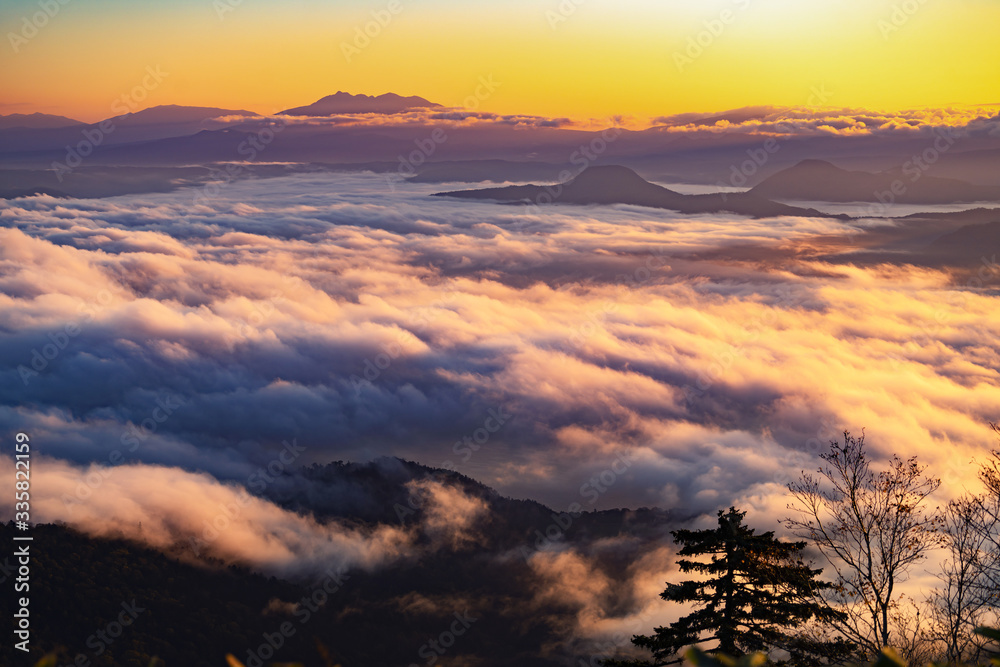 Fototapeta premium Sunrise view over cloud sea