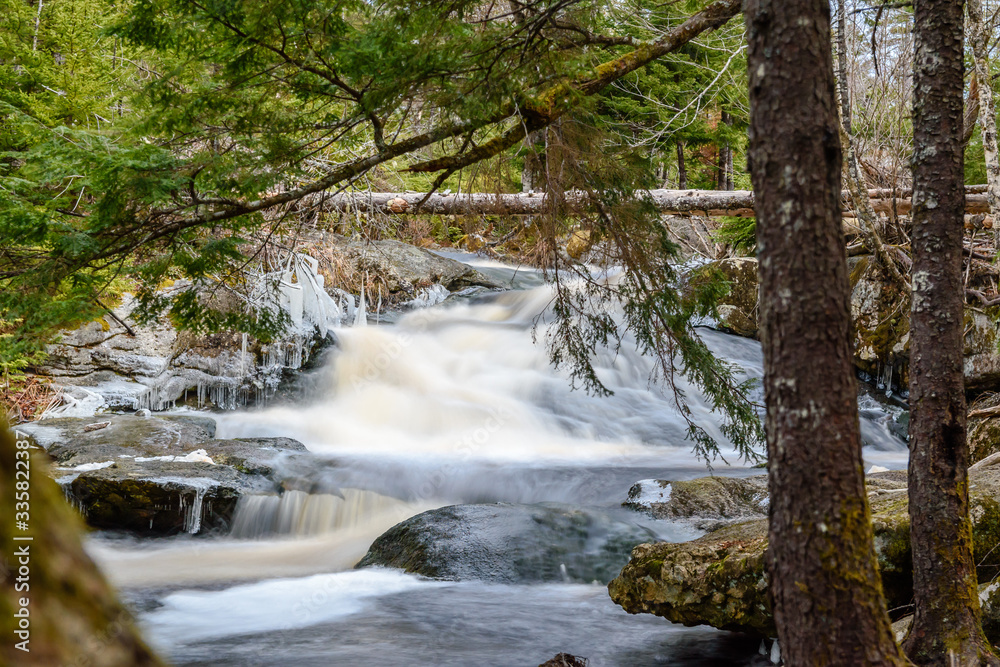 Forest landscape with small river cascade falls over mossy rocks. Atlantic Canada Forest landscape with small river cascade falls over mossy rocks. Atlantic Canada