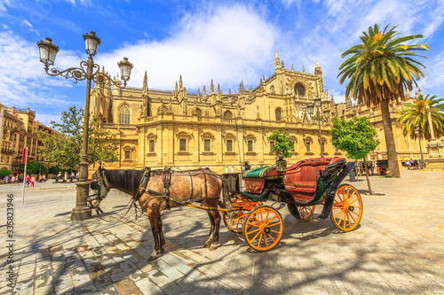 Spanish horse parked in front of Seville Cathedral, a Roman Catholic cathedral and largest Gothic church, is one of sightseeing tourist attractions of Seville in Andalusia, Spain: horse carriage rides