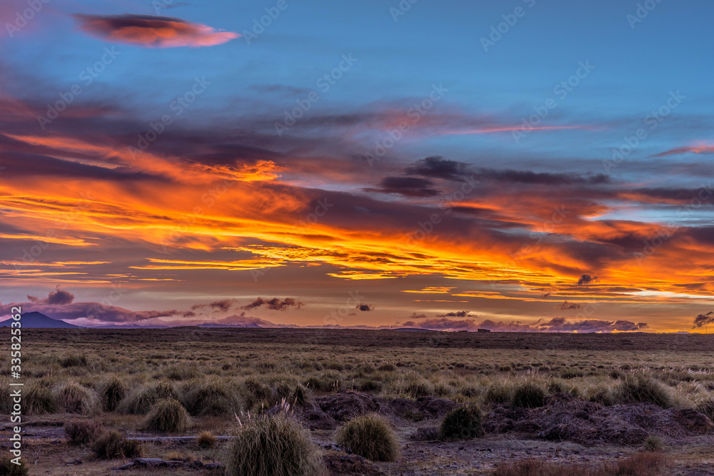 Argentina landscape