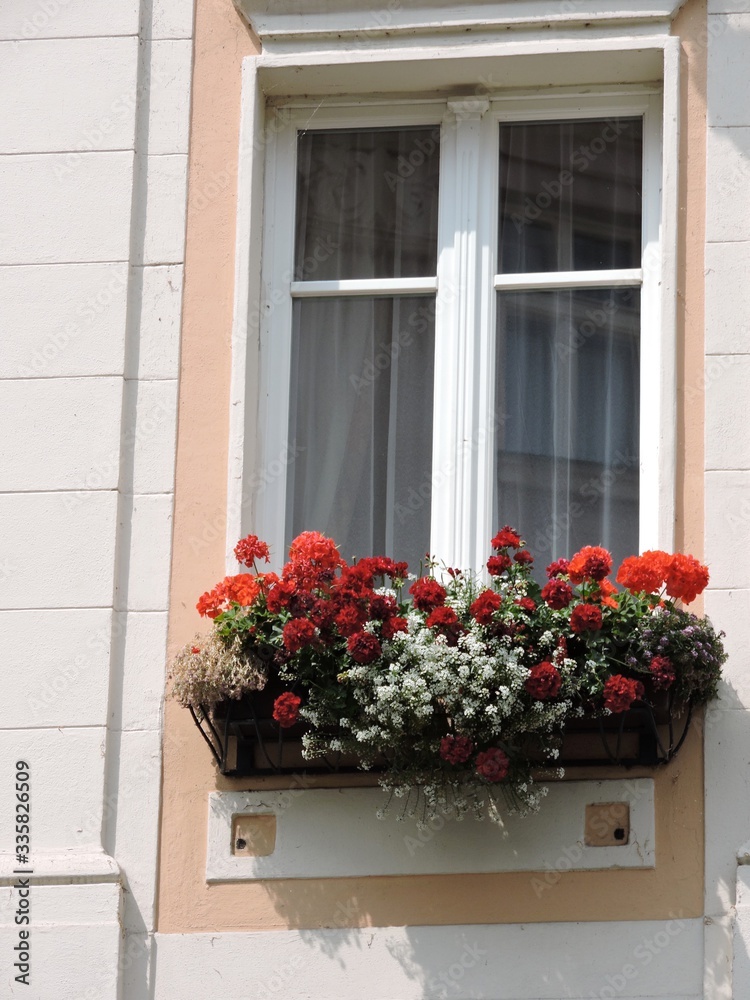 window with flowers in old house, Karlovy Vary