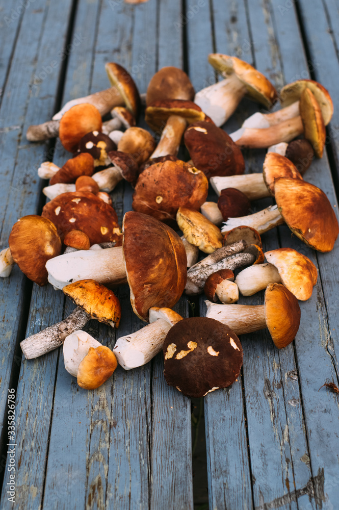 Porcini mushrooms on the table Porcini mushrooms on the table