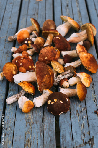 Porcini mushrooms on the table