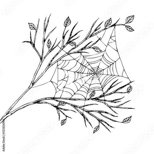 The spider web hangs between the branches. Indian summer. Monochrome sketch. Black isolated on white background. Hand drawn vector illustration.