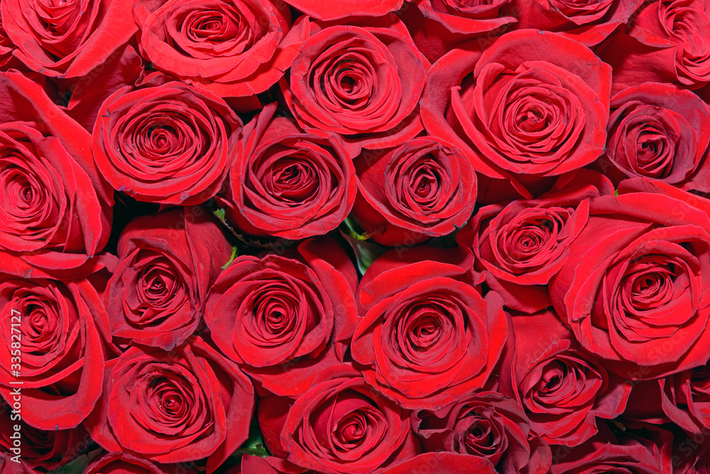 Background of bouquets of flowers. Roses. Design. Close up. Background of bouquets of flowers. Roses. Design. Close up.