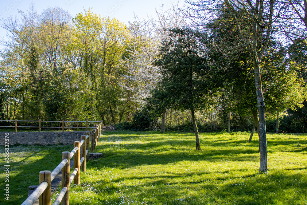 Fototapeta premium View of a wooden fence in a park. Garden with trees and vegetation in spring. Sunny landscape with a lawn.