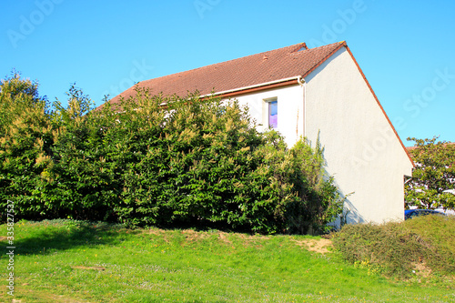 House in a residential area. Garden and flower park in spring in front of the facade. Modern building for families.