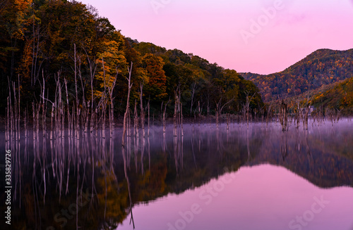 Autumn in a white forest over the lake © Hiromitsu Kato