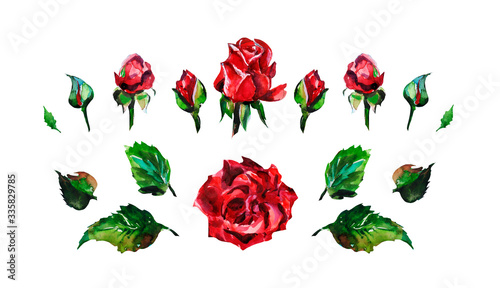 Set of red roses. Rose flowers and rose buds  green leaves. Simple watercolor illustration