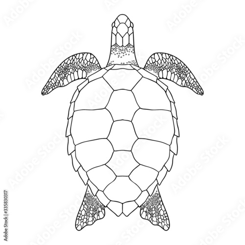 Sea turtle outline. Black and white vector illustration. Top view, Isolated turtle on white background