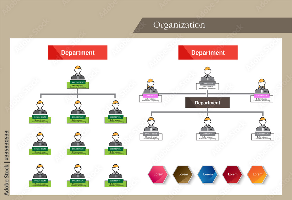 Organization Chart Infographics , vector design Organization Chart Infographics , vector design