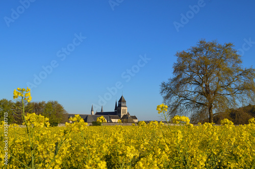 Abbaye de Fontevraud et champ de colza photo