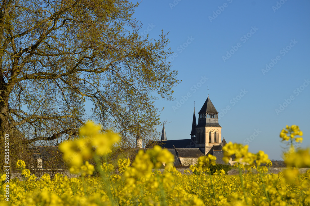 Abbaye de Fontevraud et colza