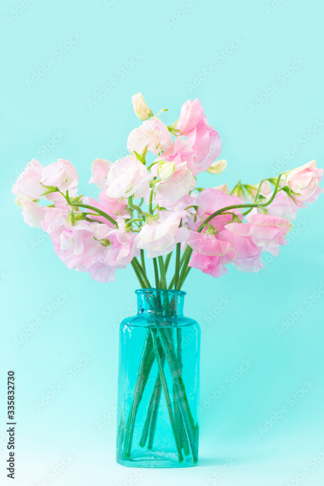Obraz premium Bouquet of soft pink sweet peas Lathyrus in beautiful transparent vase on blue background.Copy space.Spring concept.Postcard for International Women's Day on March 8, Valentine's Day,14 of February