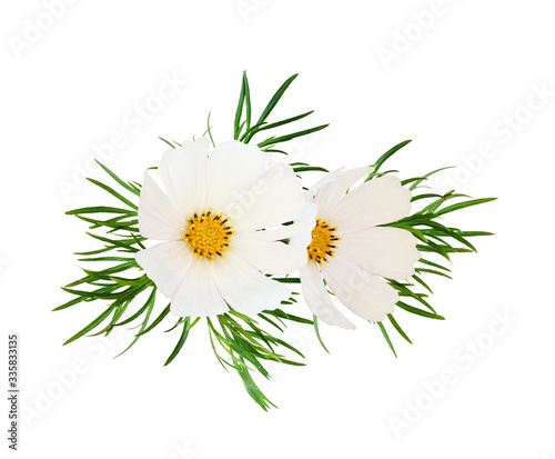 Cosmos flowers in a floral arrangement photo