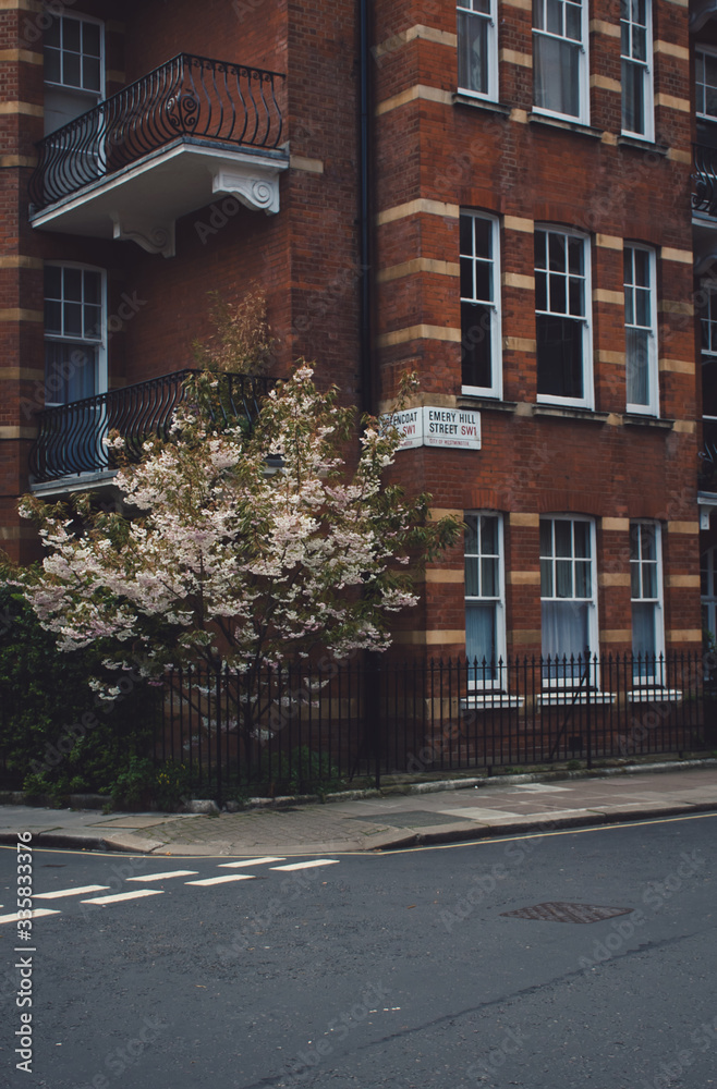 Fototapeta premium London Street