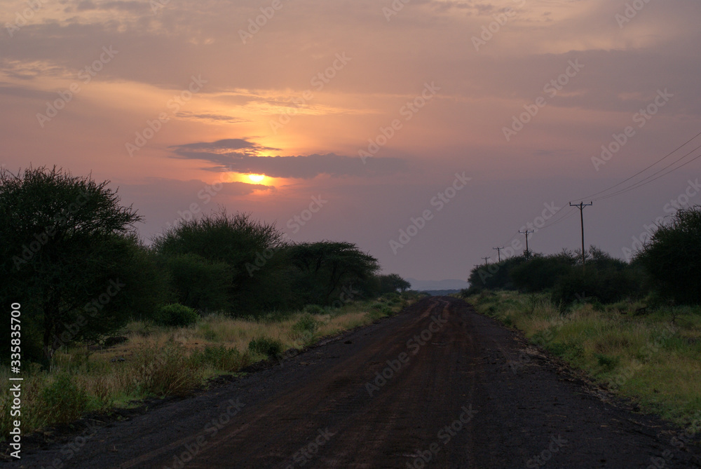 sunset on the road  in national park Amboseli, Kenya