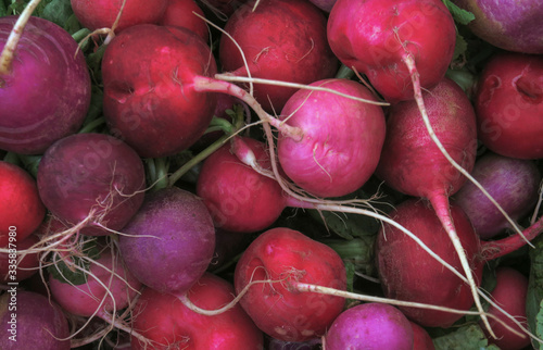 fresh red radishes in a pile, on display and for sale at a stall at the farmer's market in Venice, CA