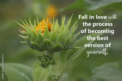 Inspirational quote - Fall in love with the process of becoming the best version of yourself. With young green sunflower plant background. Motivational words with nature flower in process to bloom.