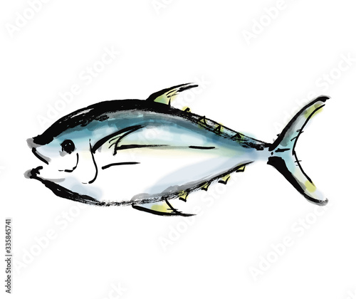 マグロ、鮪、まぐろ、魚、魚類、ベクター、キハダマグロ、黄肌マグロ、赤身、木肌鮪、キハダ鮪、