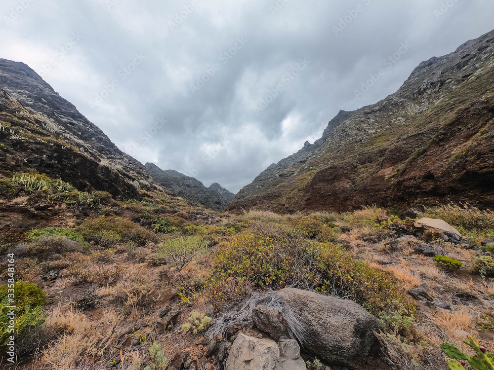 Ravine in the Canary Islands, through which you stroll