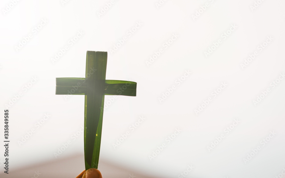 Naklejka premium Soft focus Green palm leaves as background with sunlight.Palm Sunday concept.