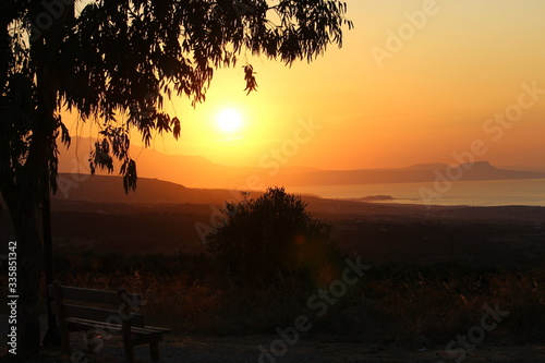 coucher de soleil avec un ciel jaune orange sous un arbre et avec la mer au loin