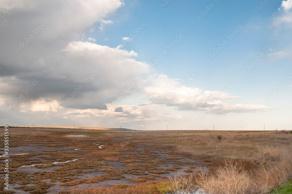 Blue sky with clouds. Steppe landscape. Summer steppe. Beautiful landscape. Steppe. Summer landscape
