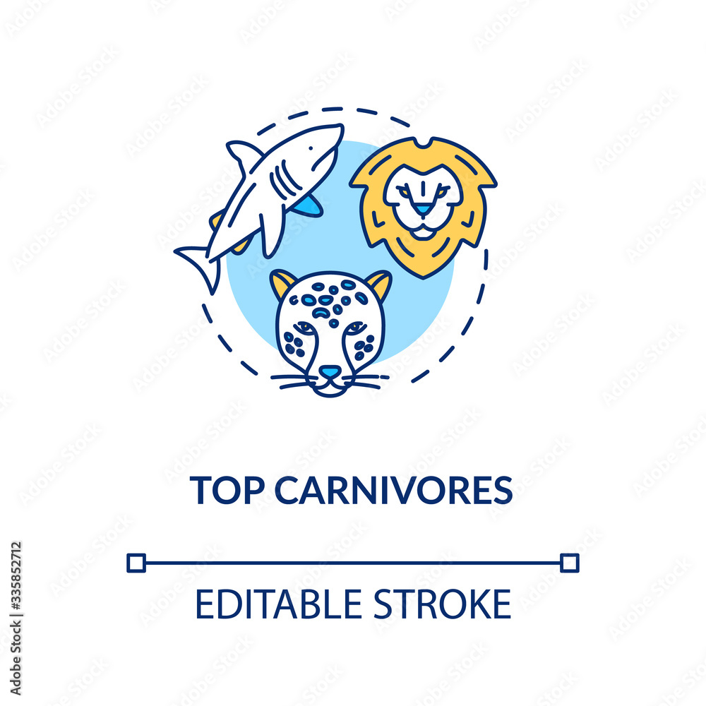 Top carnivores concept icon. Wild animals. Food chain apex predators.  Marine and land ecosystems idea thin line illustration. Vector isolated  outline RGB color drawing. Editable stroke Stock Vector | Adobe Stock