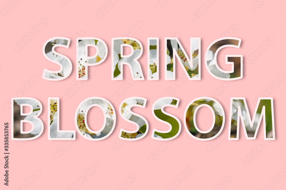 Spring Blossom Words With White Stroke Over Letters and Spring Blossom Image Clipped on Pink Background 