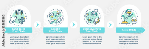 Food chain vector infographic template. Biological process. Biodiversity presentation design elements. Data visualization with 4 steps. Process timeline chart. Workflow layout with linear icons