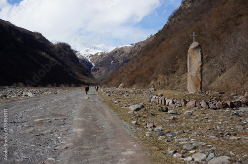 road in the mountains